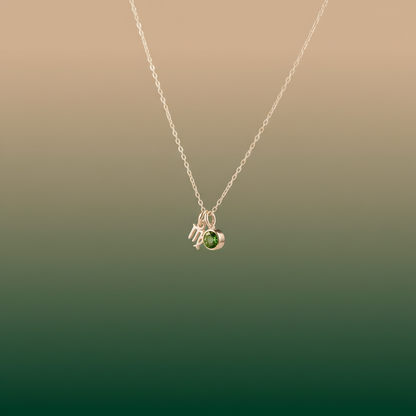 Zirconia Birthstone and Zodiac Stainless Steel Necklace