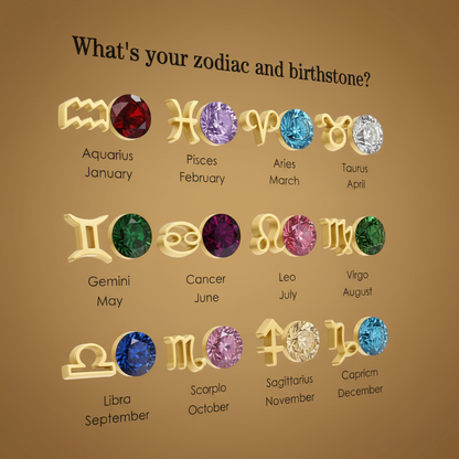 Zirconia Birthstone and Zodiac Stainless Steel Necklace